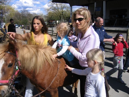 19.04.cheval1.jpg