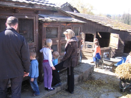 19.04.cheval2.jpg