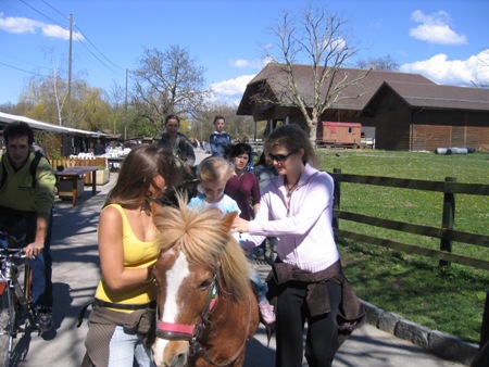 19.04.cheval3.jpg
