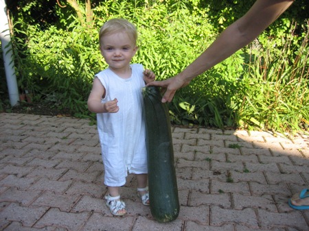 courgette-1.jpg