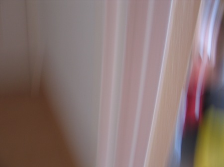 07.06.premierephoto1.jpg