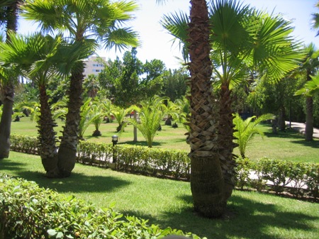 espagne08-10.jpg